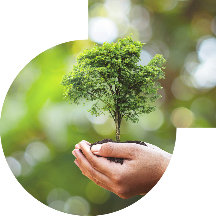 關懷人類、文化、環境與社會